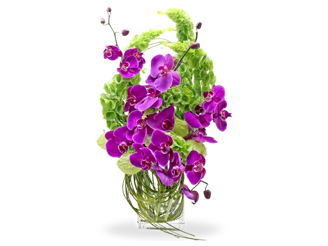 Florist Flower in Vase - Florist vase  F2 - L76600665 Photo